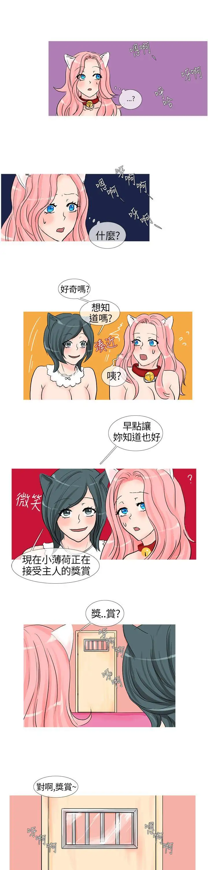 小野貓馴服手冊第9話