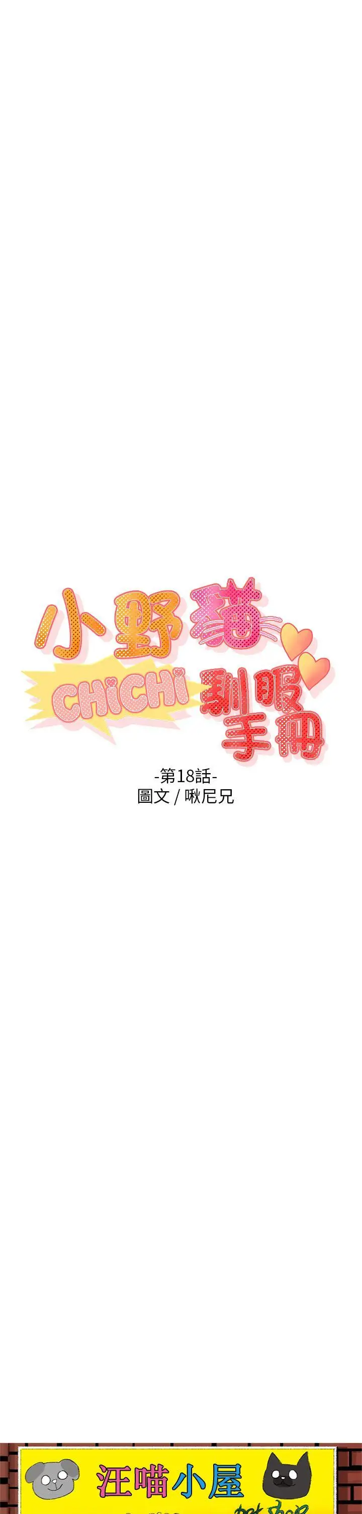 小野猫驯服手册第18话