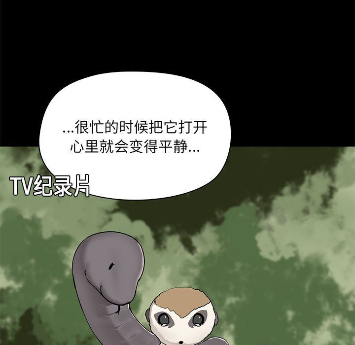 愛玩遊戲的女人們第13話