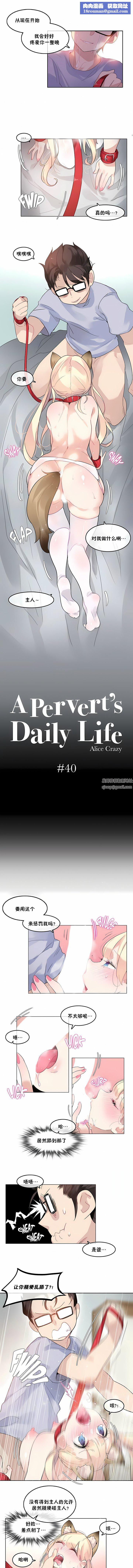 一个变态的日常生活第40话