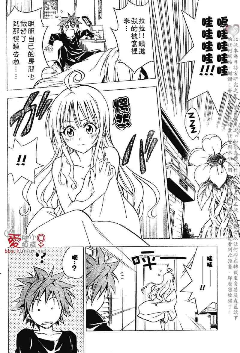 出包王女tolove030集