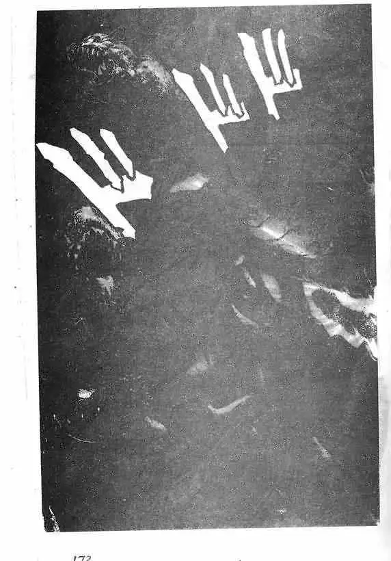 暗黑破坏神第18卷