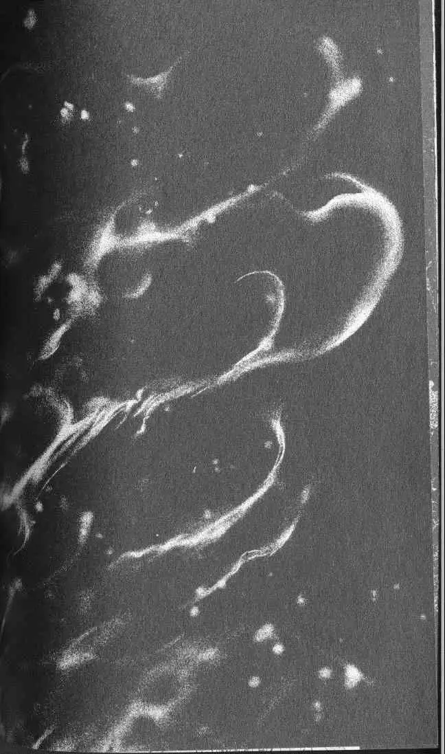 暗黑破坏神第22卷