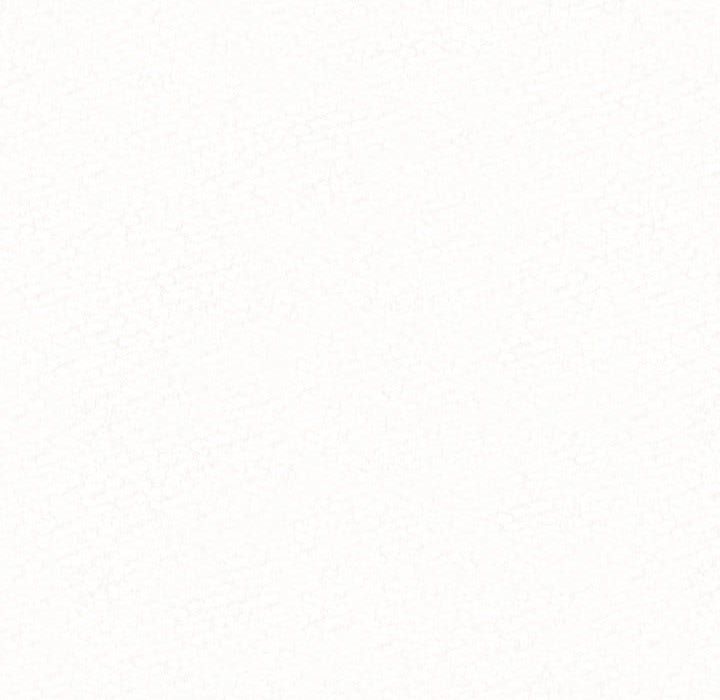 懵懂男生的戀愛史第2話