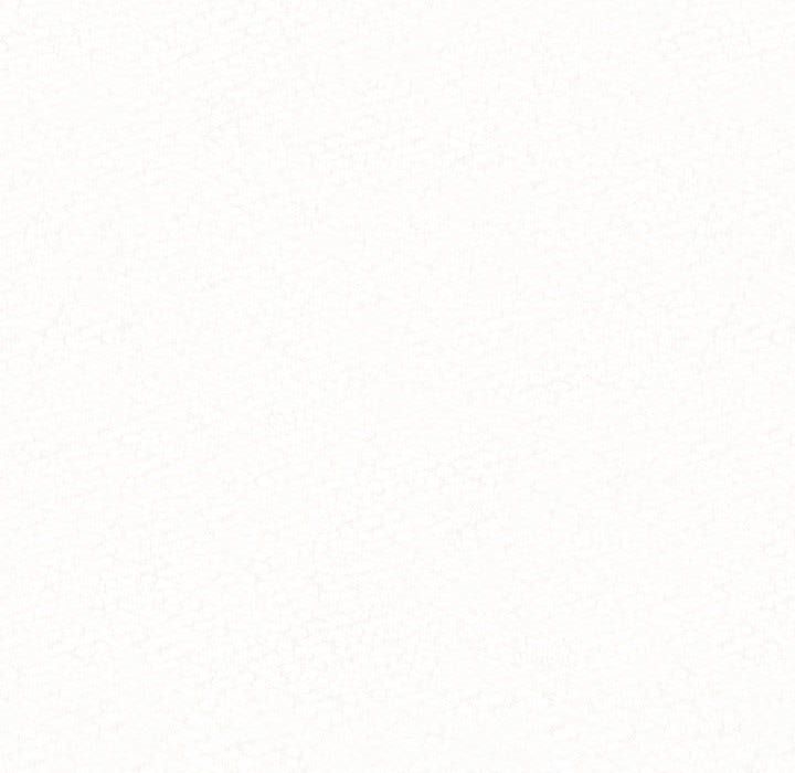 懵懂男生的戀愛史第2話