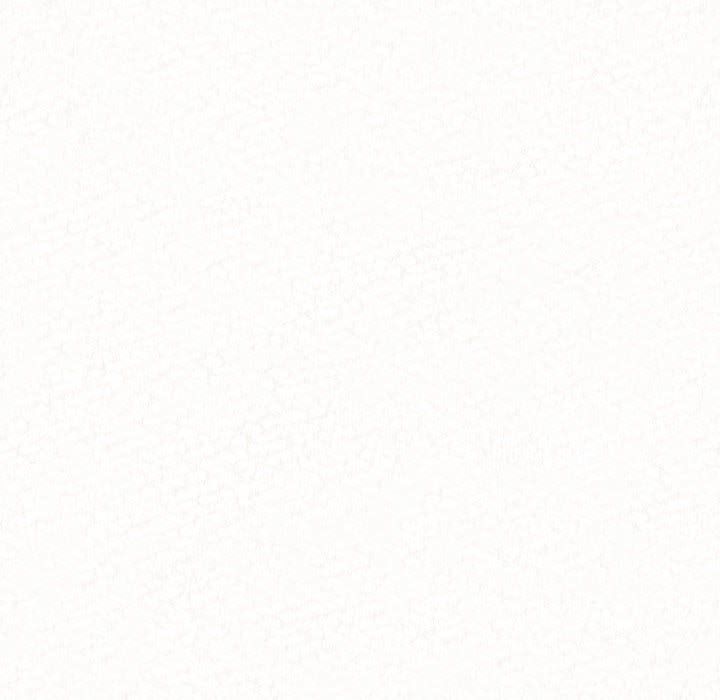 懵懂男生的戀愛史第2話