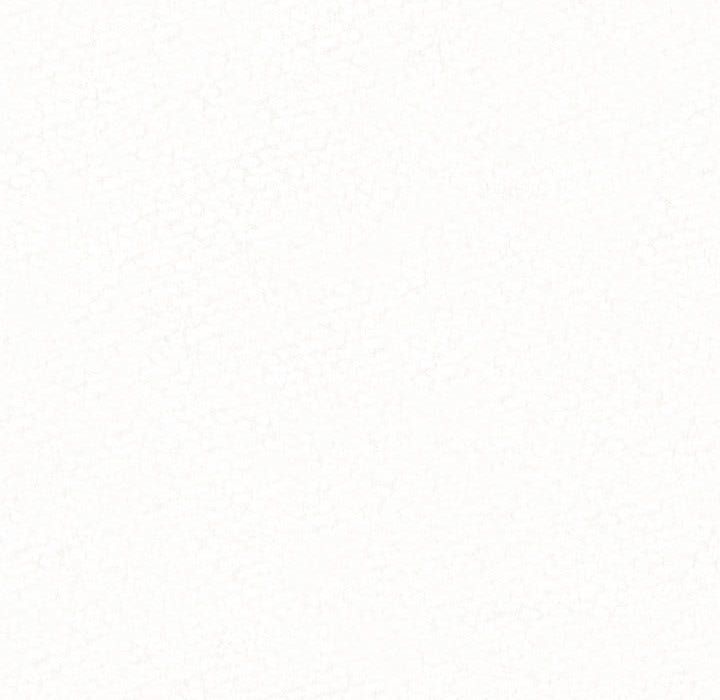 懵懂男生的恋爱史第2话