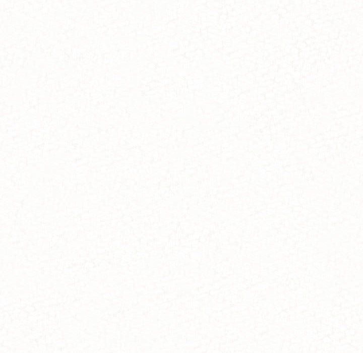 懵懂男生的戀愛史第2話