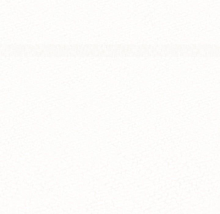 懵懂男生的恋爱史第2话