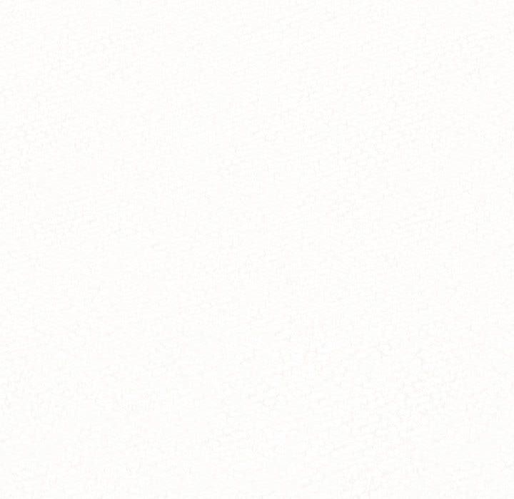 懵懂男生的戀愛史第2話