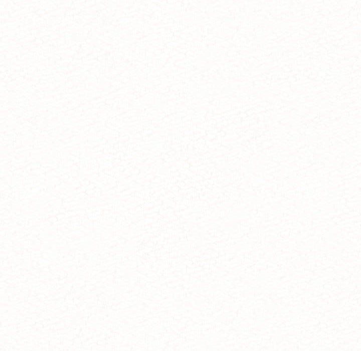 懵懂男生的恋爱史第6话