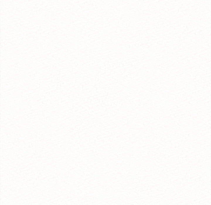 懵懂男生的戀愛史第8話