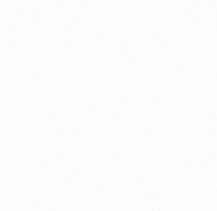 懵懂男生的恋爱史第10话