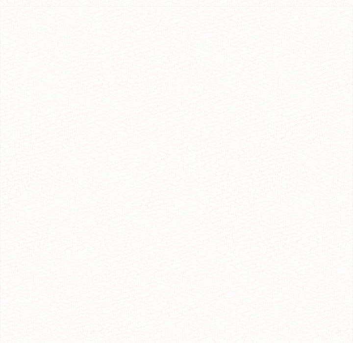 懵懂男生的恋爱史第13话