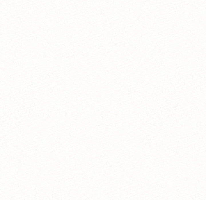 懵懂男生的恋爱史第39话