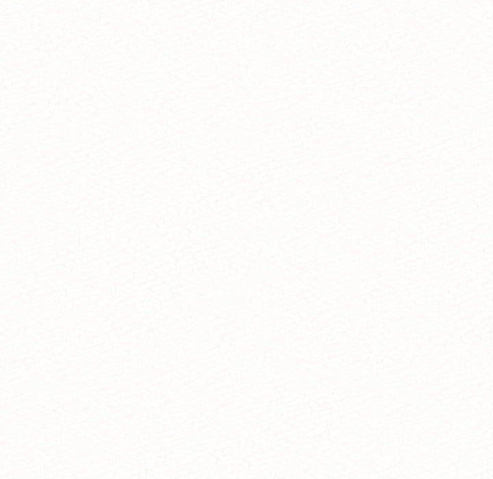 懵懂男生的恋爱史第41话