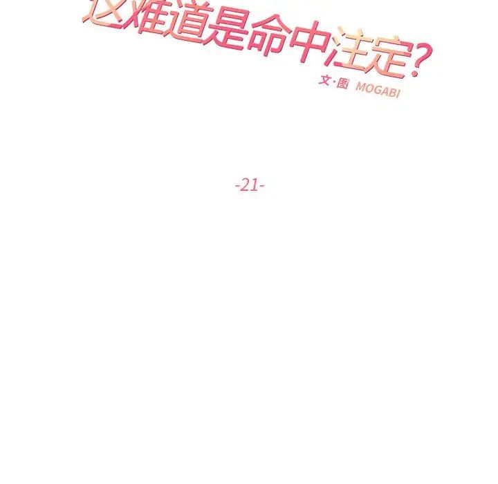 这难道是命中注定第21話
