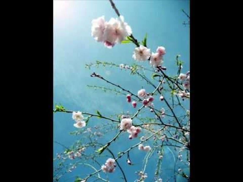 [AI繪畫]Lote_2024整合AIGenerated第09話