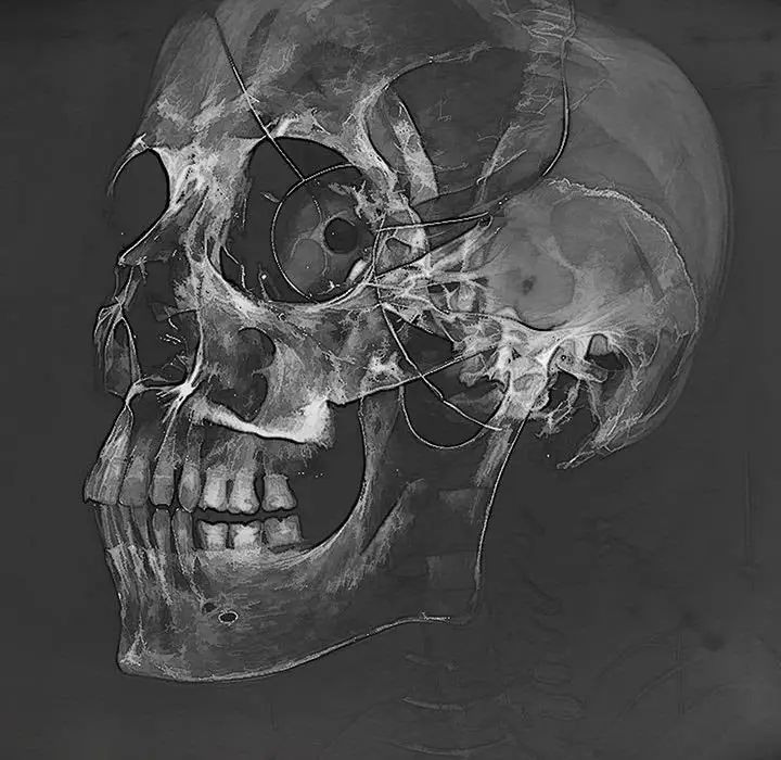 难缠小恶女第209話