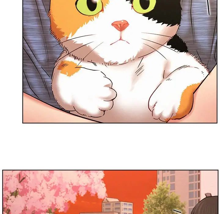 屋檐下的光第33話