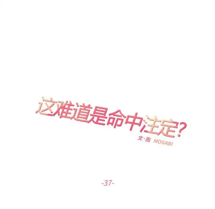 这难道是命中注定第37話