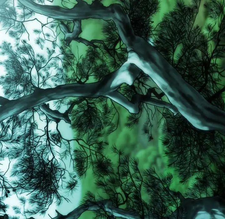 不可抗拒的吸引第19話