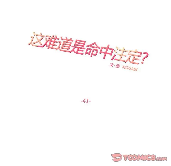 这难道是命中注定第41話