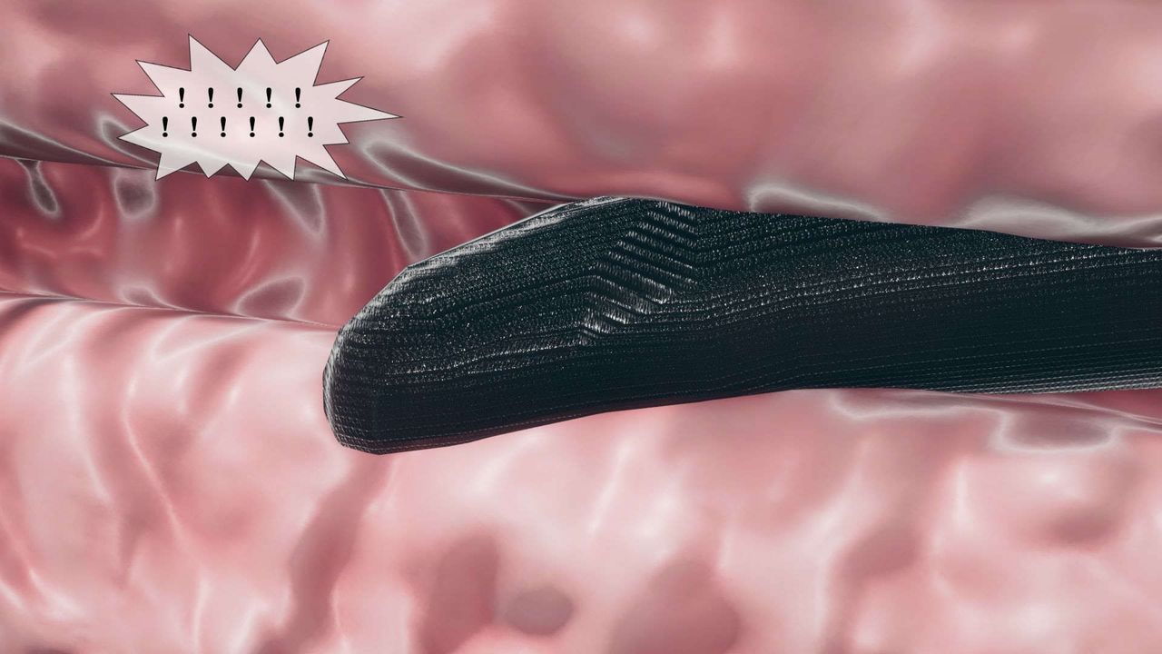 [3D]墮落hd第07話