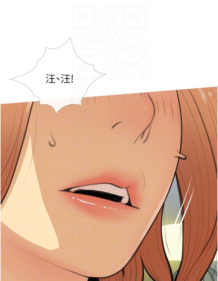 糖果爸爸的搶婚大作戰第28話-聽話的母狗有糖吃