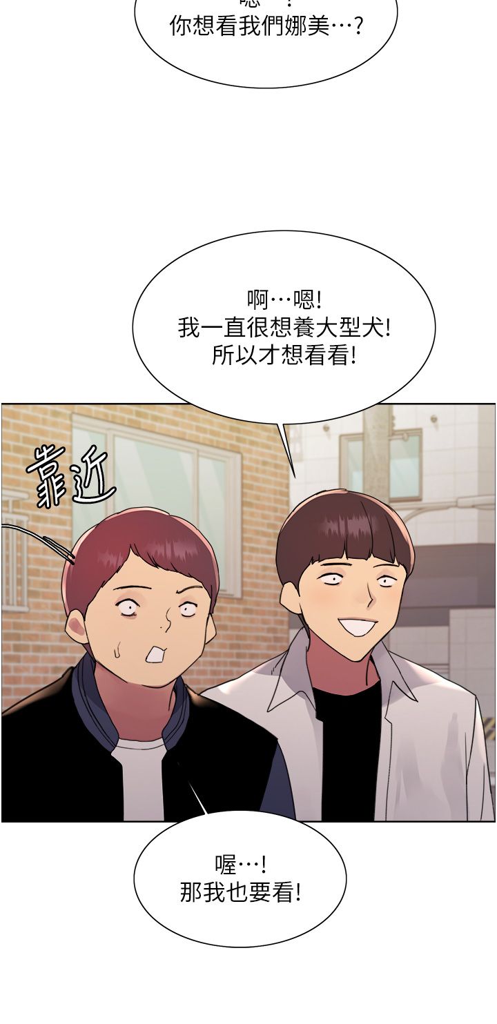 色轮眼第2季第42話-在戶外隨地便溺的母狗