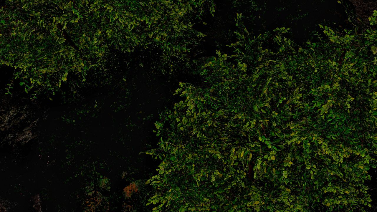 [3D]死靈法師第09話