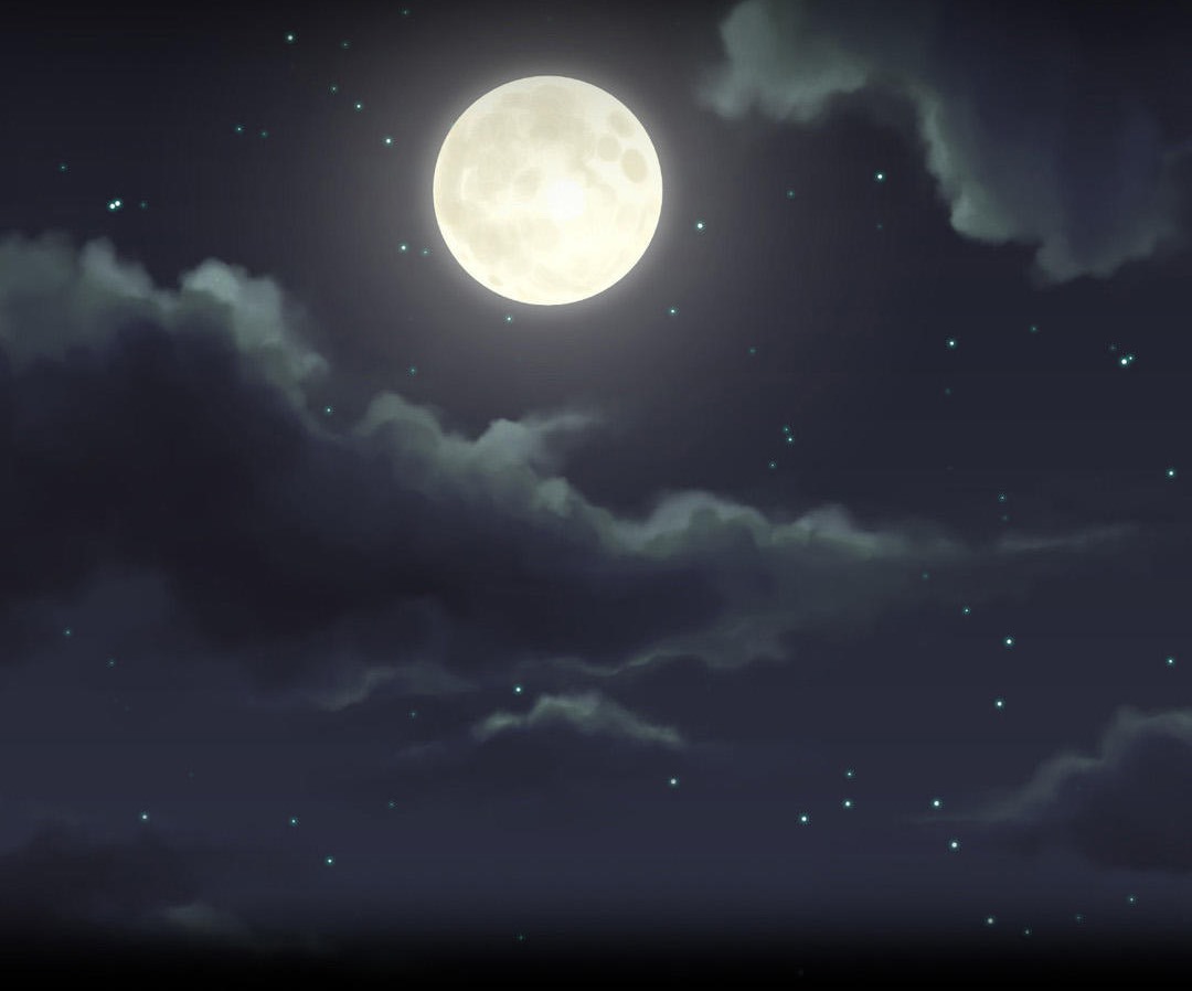 夫人的禮物第2話