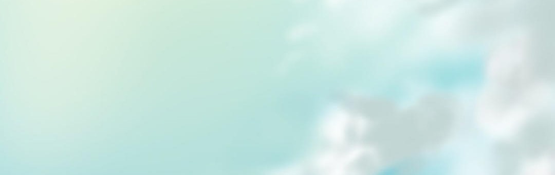 夫人的禮物第15話