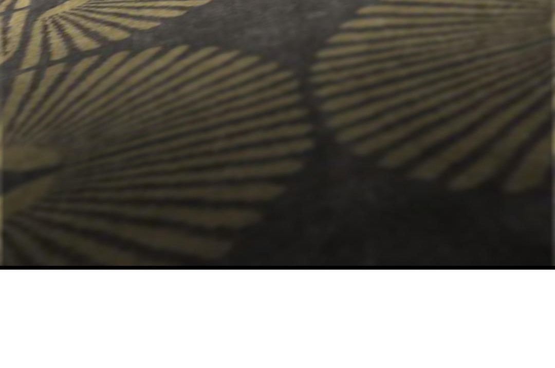 夫人的禮物第16話