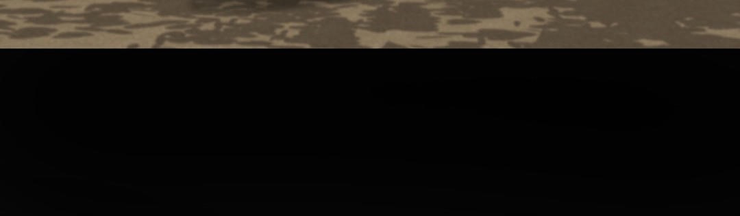 夫人的禮物第19話