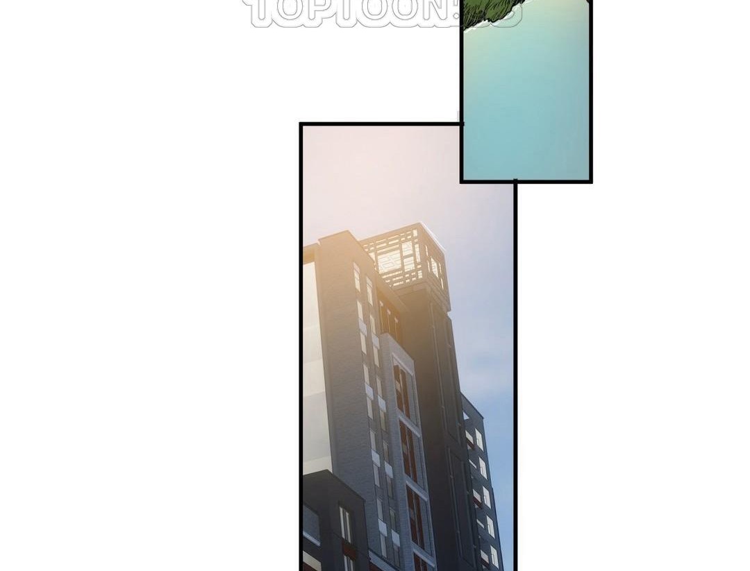 夫人的礼物第39话