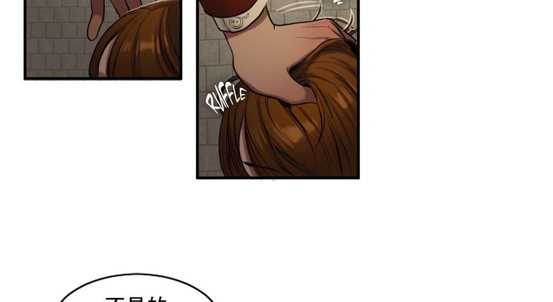 夫人的礼物第48话