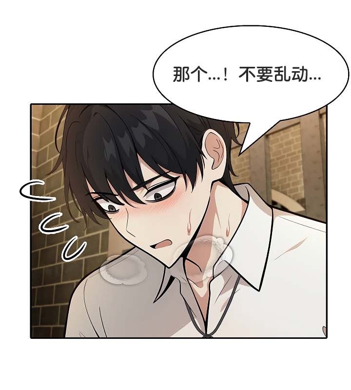 被召唤到异世界，然后成为半龙骑士长第20话