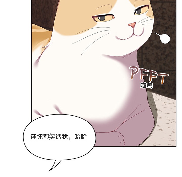 猫猫牵红线第1話