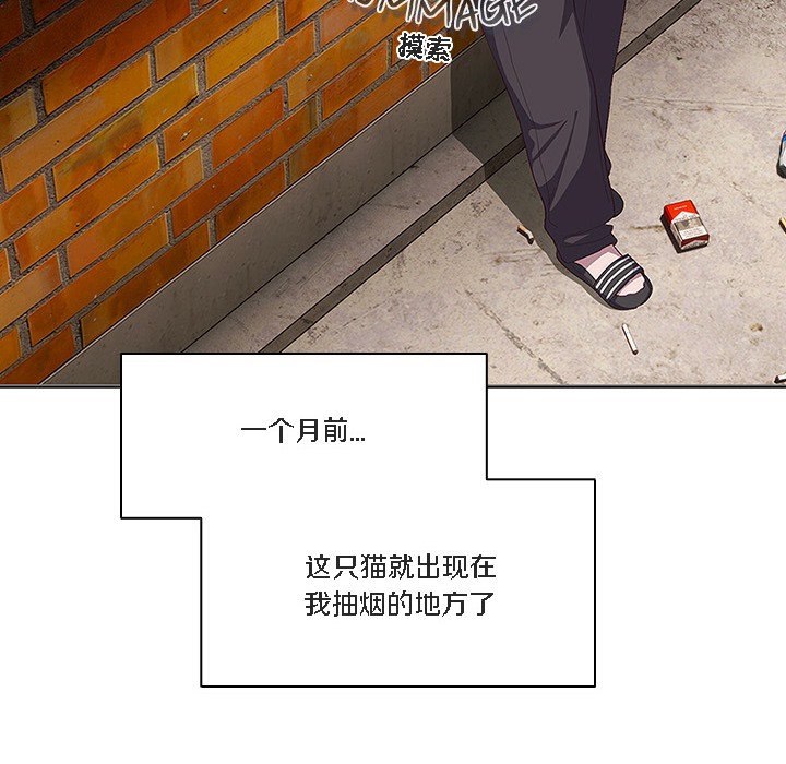 猫猫牵红线第1話