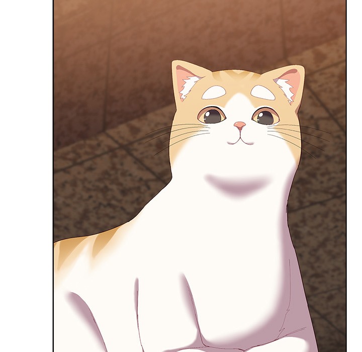 猫猫牵红线第1話