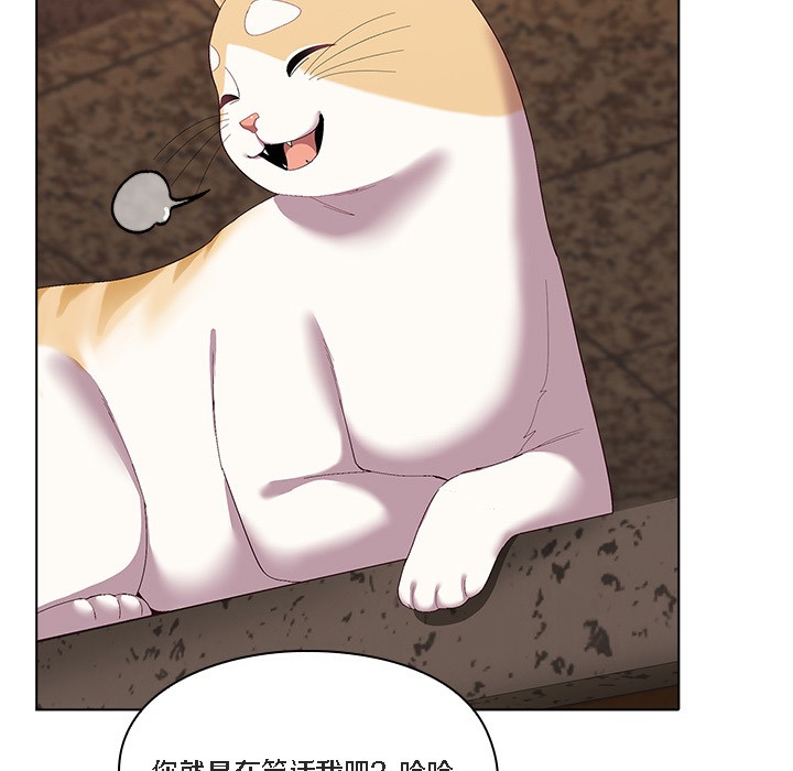 猫猫牵红线第1話