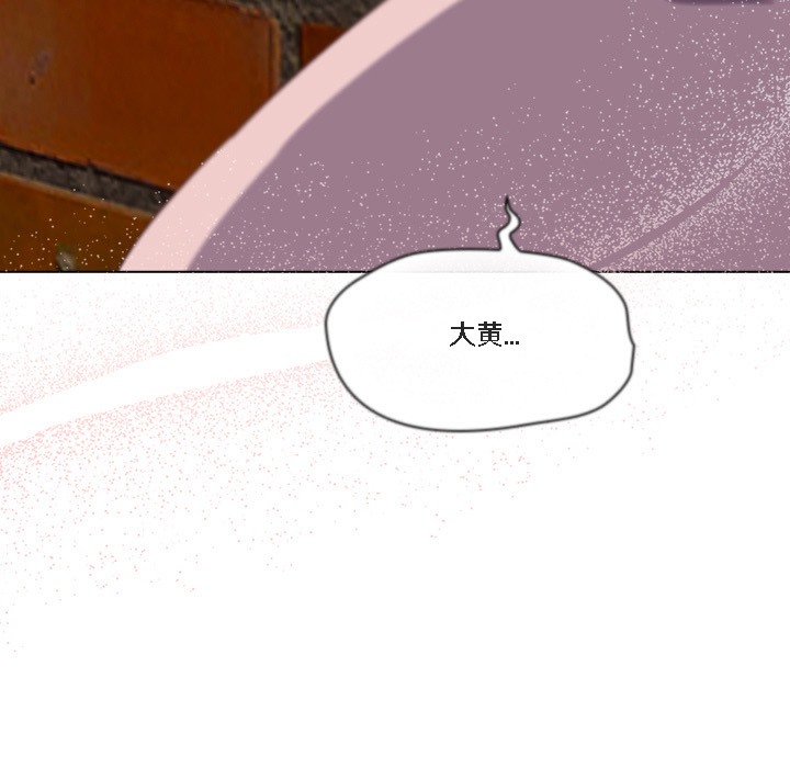 猫猫牵红线第1話