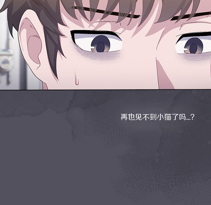 猫猫牵红线第1話
