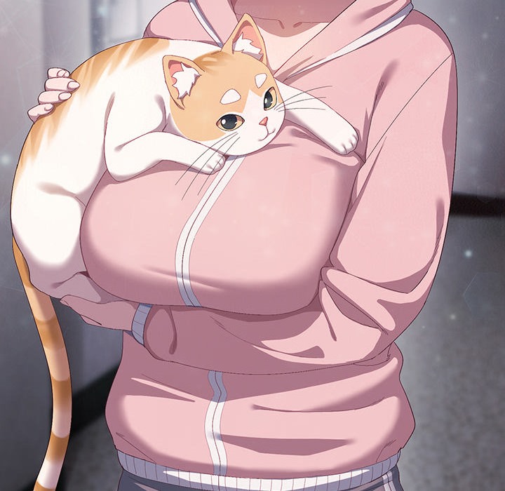 猫猫牵红线第1話