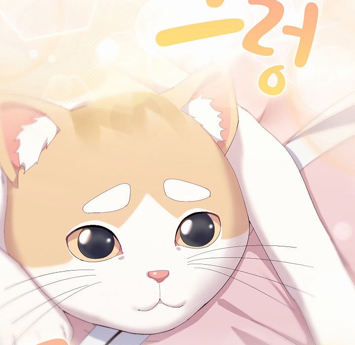 猫猫牵红线第2話