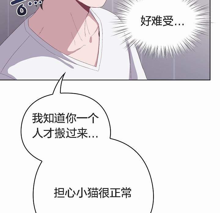 猫猫牵红线第2話