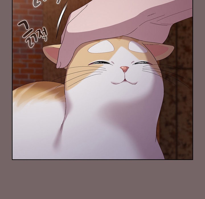 猫猫牵红线第3話