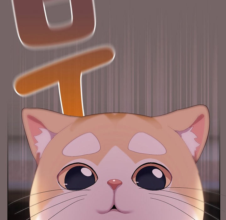 猫猫牵红线第3話