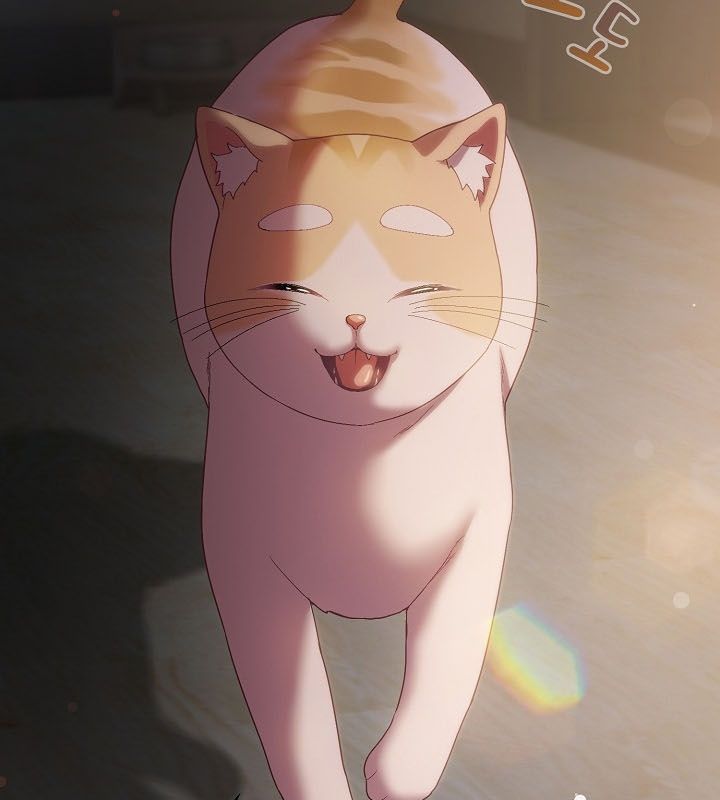 猫猫牵红线第9話